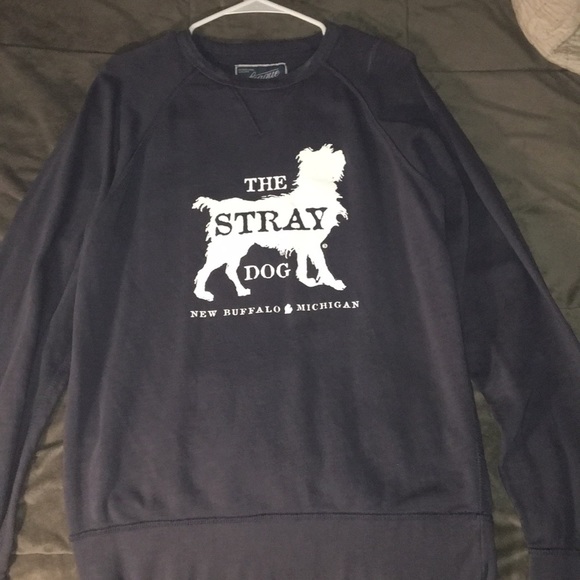 stray dog hoodie